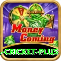 all cricket Games Prime