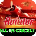 fastest ball in cricket Champion - Free Download
