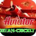 india pakistan cricket Elite v5.8.5