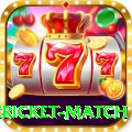 international cricket match Game Mega v1.2.7