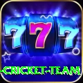ireland cricket team Mobile Champion