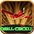 mobile cricket Slots Master v4.9.0