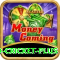 new zealand cricket Games Prime
