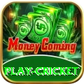 play cricket Live Mega v2.2.4