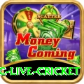 smartcric live cricket Earn Turbo v5.8.8