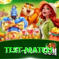 test match Champion Gaming App