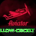 willow cricket Live Prime