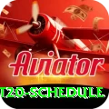 world t20 schedule Slots King v1.3.6