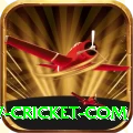 www cricket com Games Deluxe